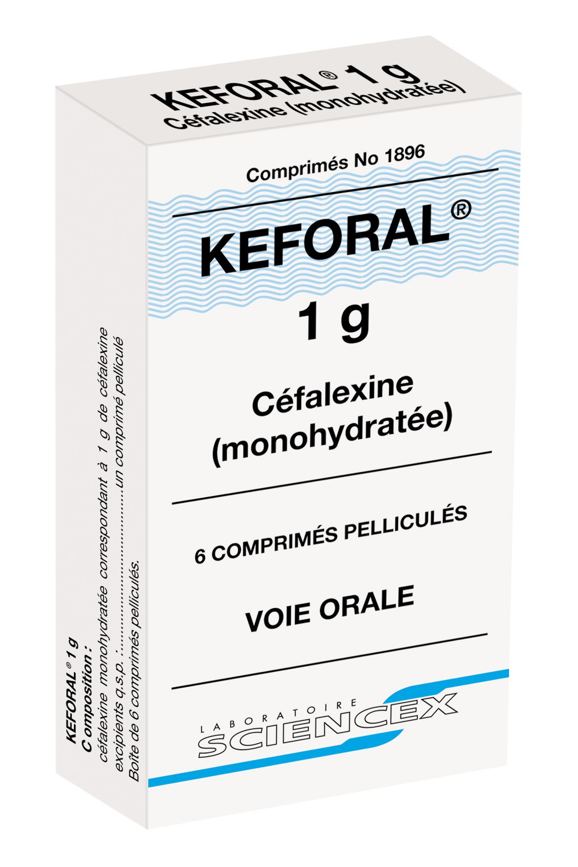 Photo de conditionnement <span class='vidalbox-gamme-product'>(KEFORAL 1 g cp pellic)</span>