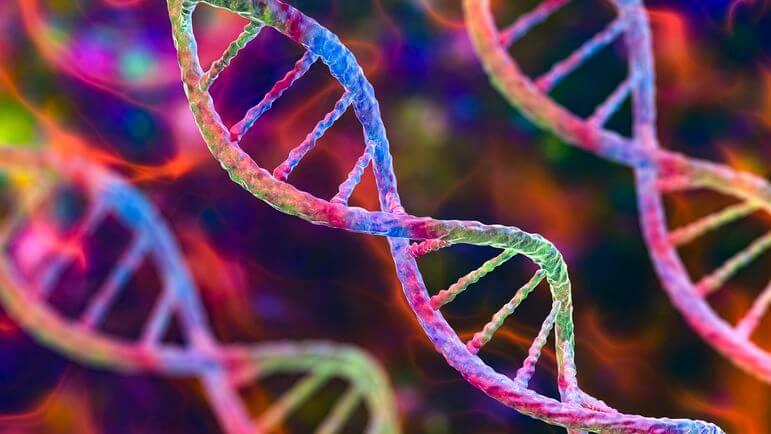 Présente chez environ 70 % des malades, la mutation Delta F508 du gène CFTR est la plus fréquente.