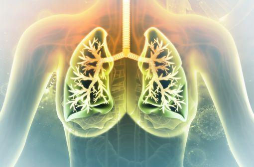 En pneumologie, l'acétylcystéine exerce son action sur la phase gel du mucus et favorise ainsi l'expectoration (illustration).