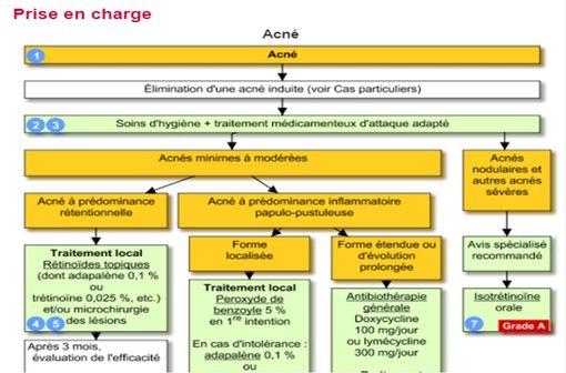 Prise en charge de l'acné : arbre décisionnel VIDAL Reco